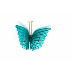 Mariposa de Crin rari