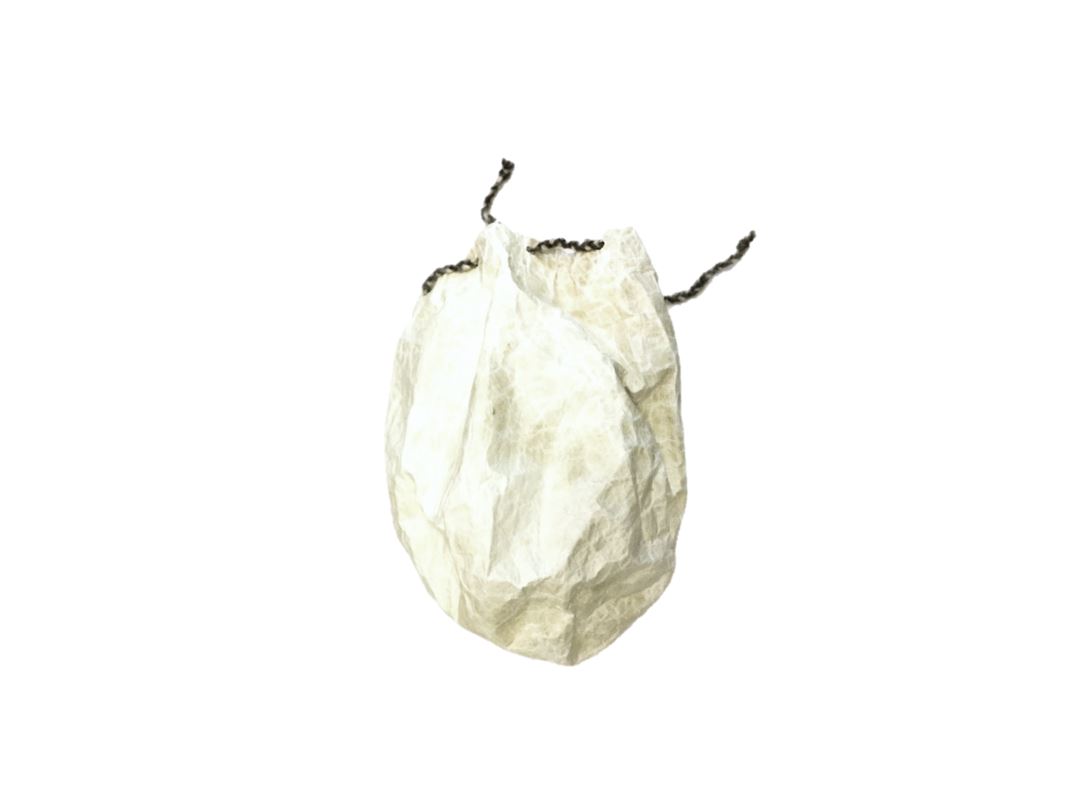 Yapang