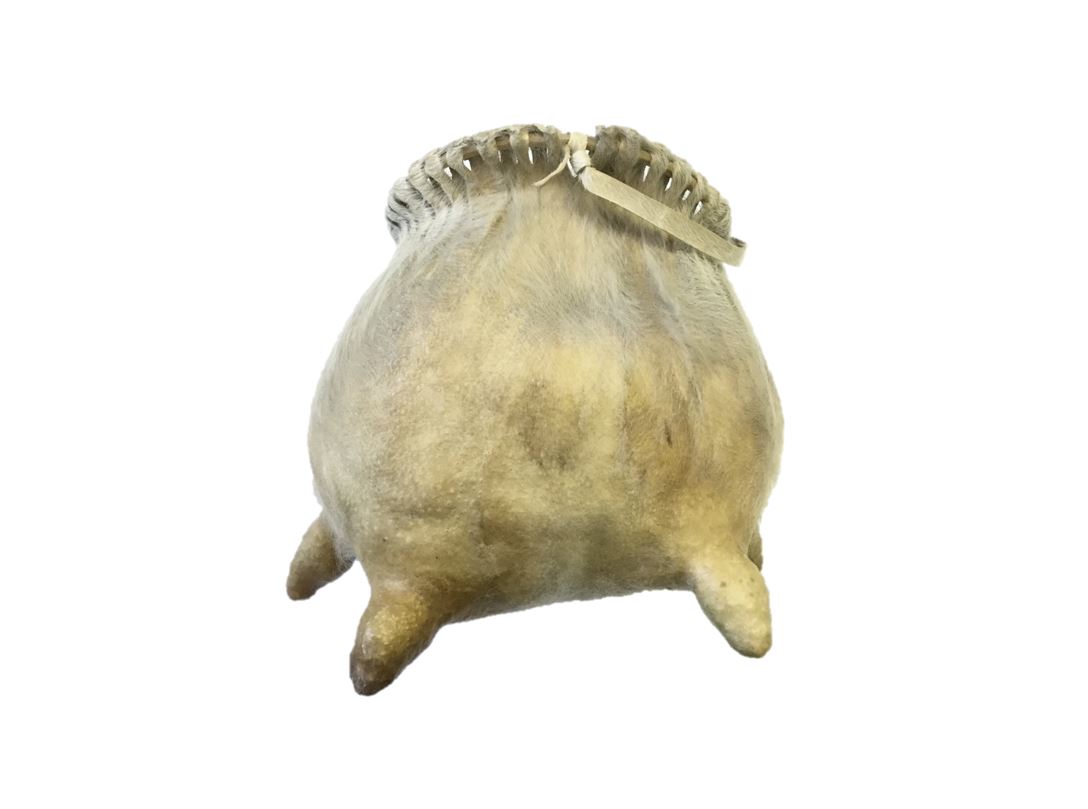 Nillawaka