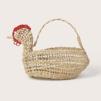 Gallina pico rojo de boqui pil-pil