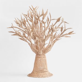 Árbol de la vida de boqui pil pil