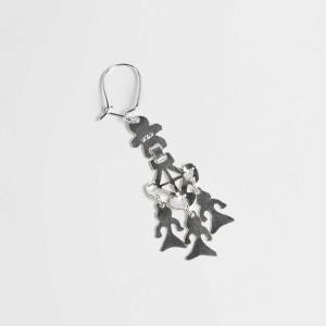 Chaway pillan de plata: imagen 4