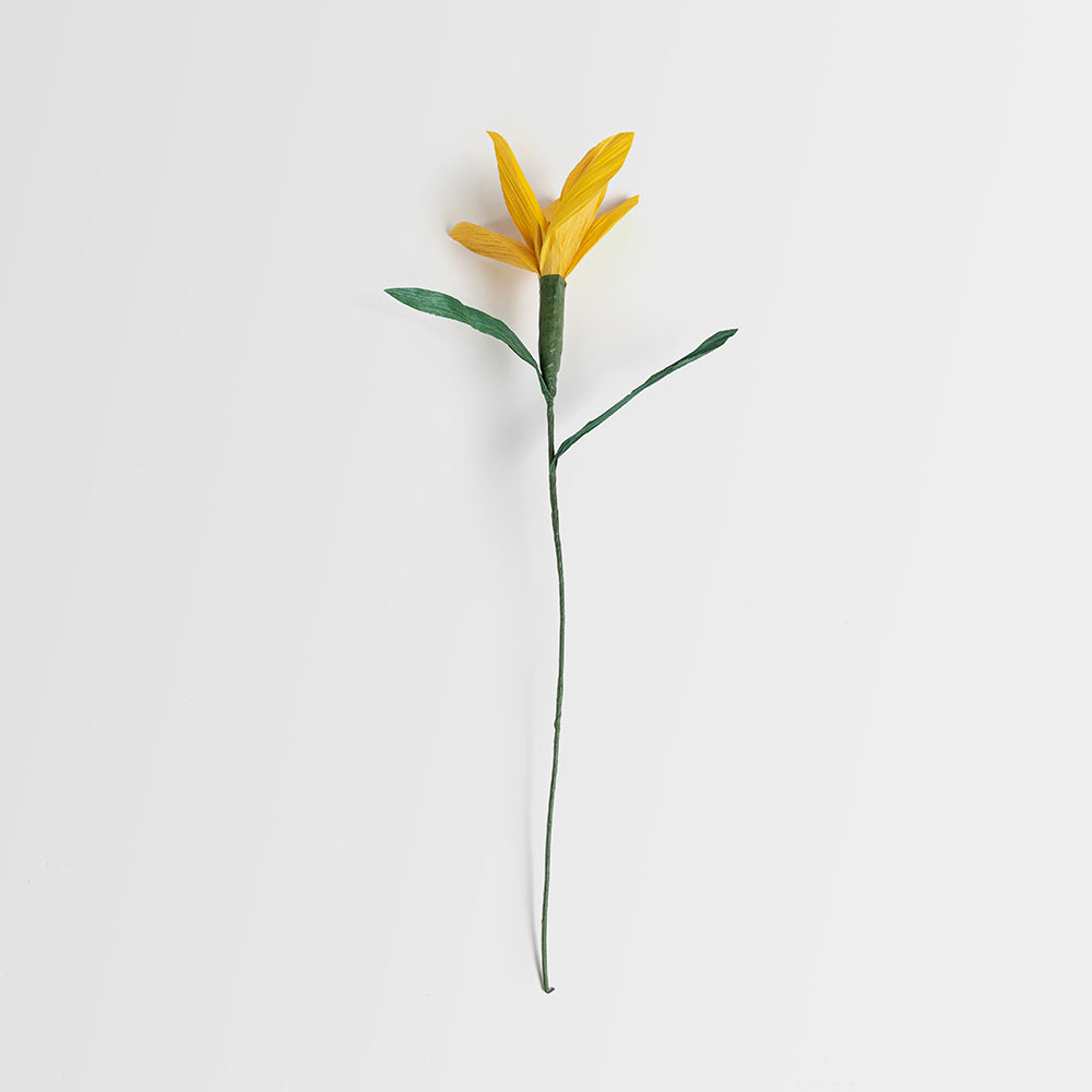 Flor de hoja de choclo - Lilium