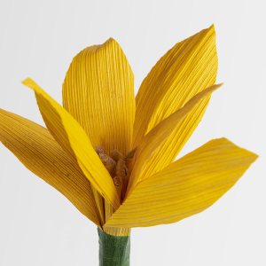 Flor de hoja de choclo - Lilium: imagen 2