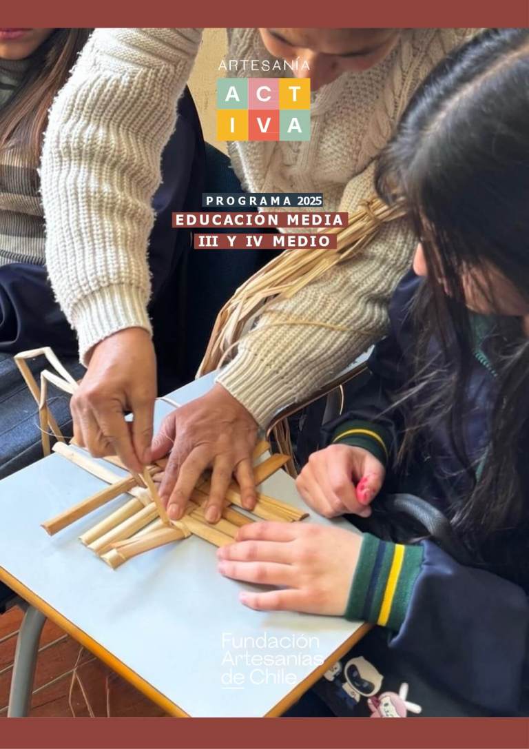 PROGRAMA_EDUCACIÓN_MEDIA_IIIYIV_2025