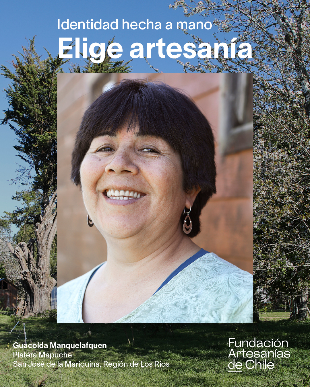 Banner -Plateria Mapuche movil