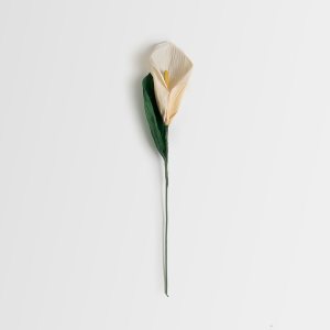 Flor de hoja de choclo - Lilium: imagen 4