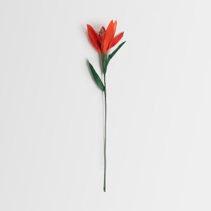 Flor de hoja de choclo - Lilium: imagen 5