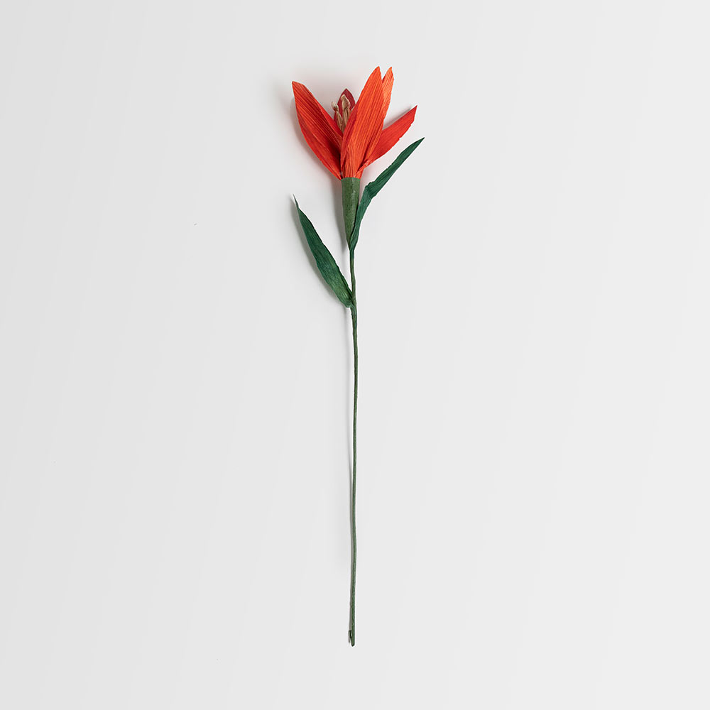 Flor de hoja de choclo - Lilium