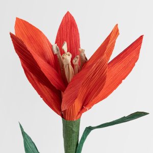 Flor de hoja de choclo - Lilium: imagen 3