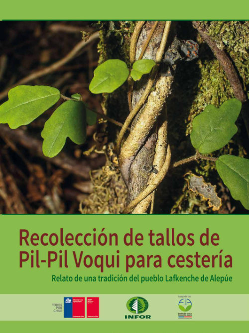 portada_recoleeccion_tallos_investigacion_01