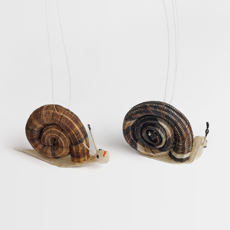 Caracol de crin de caballo