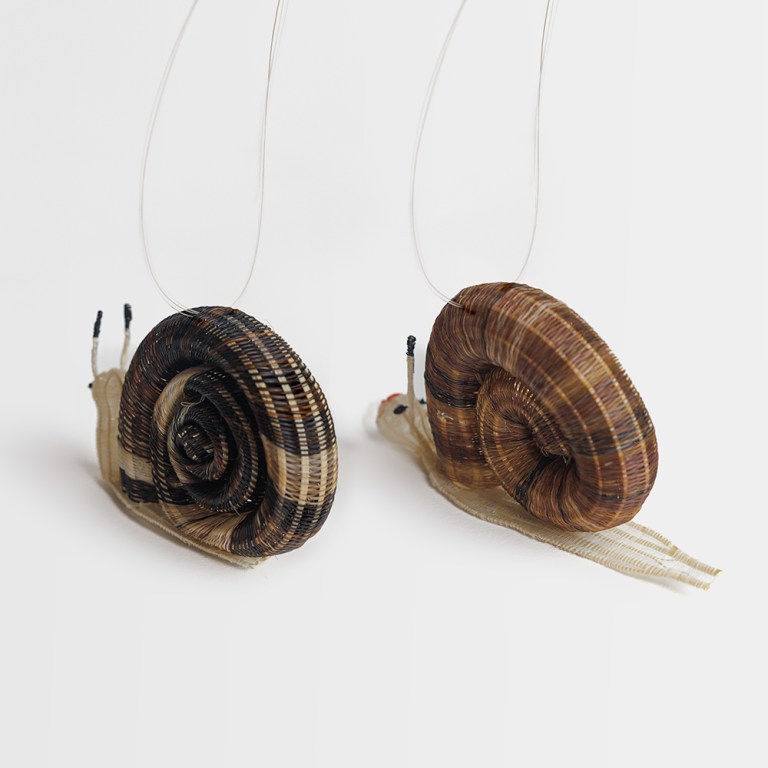 Caracol de crin de caballo